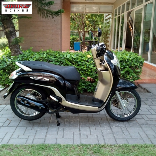 Scoopy i